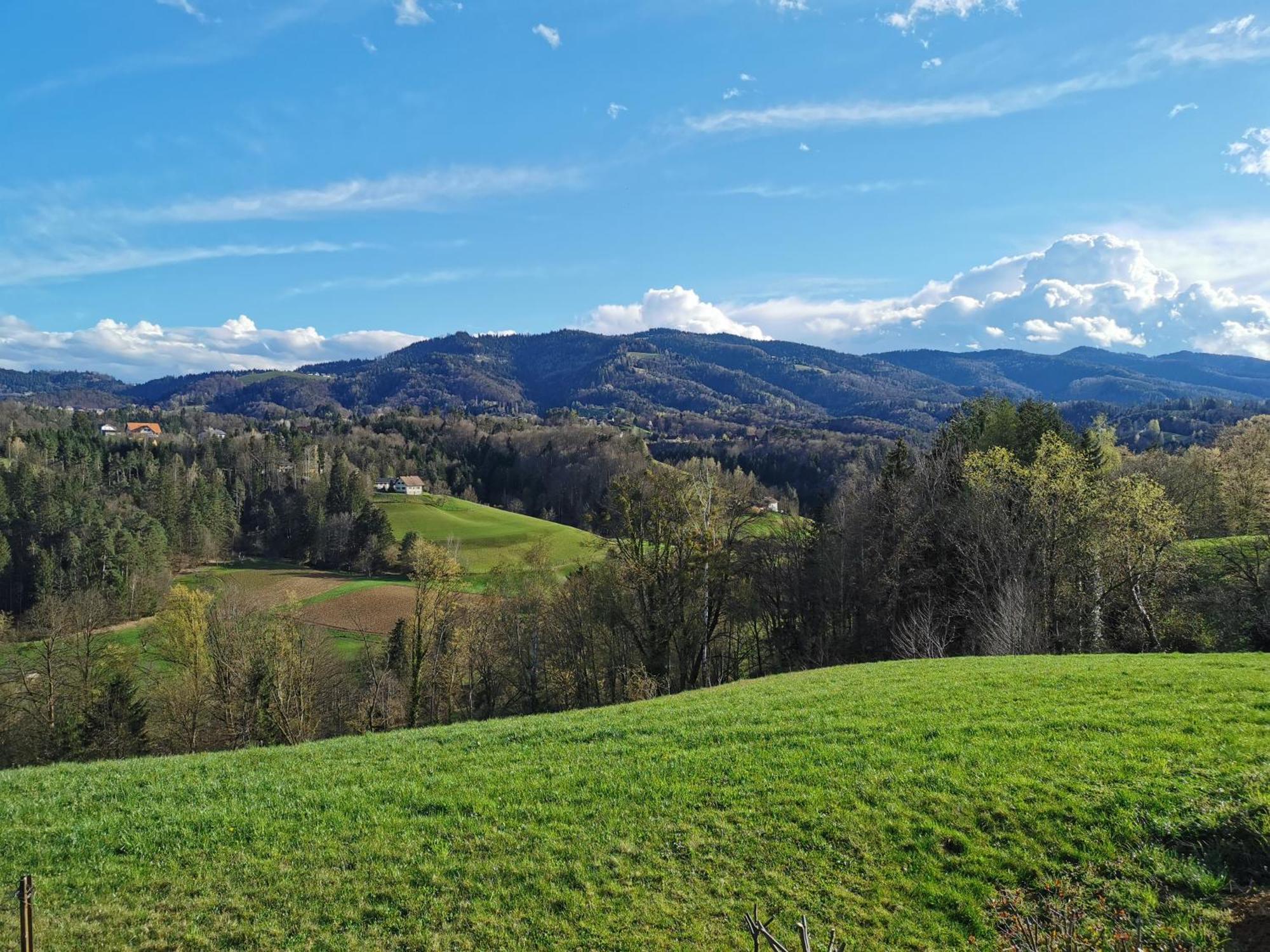 Traumhaftes Ferienhaus Am Lateinberg - 8455 Eibiswald Suedsteiermark Экстерьер фото